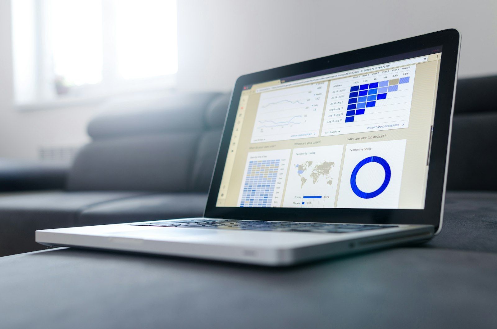 Visitor analytics